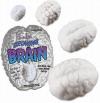Wachsendes Hirn - Growing Brain - Karneval Wachsendes Hirn - Growing Brain - Karneval