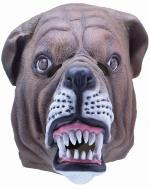 Bulldogge Maske Erwachsene - 