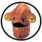 Admiral Ackbar Maske