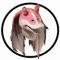 Jar Jar Binks Maske