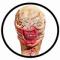 Original Hellraiser Chatterer Maske