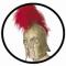 Römer Helm