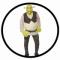 Shrek Kostüm Oger - Der Tollkühne Held