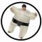 Sumoringer - Sumowrestler Kostüm Aufblasbar