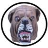 Bulldogge Maske Erwachsene - Masken