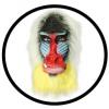 Pavian Maske Mandrill Bunt - Masken